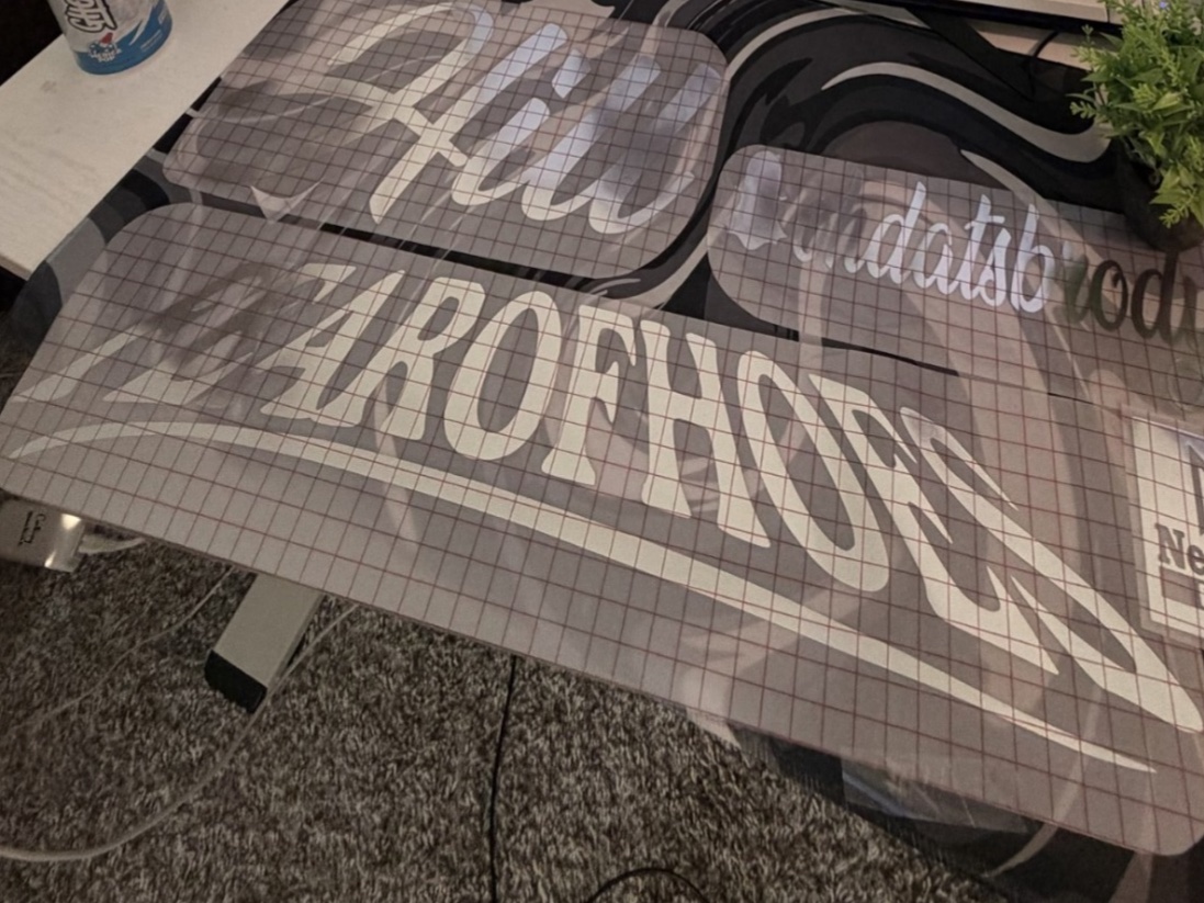FEAR OF HOES | Windshield Banner, photo 3