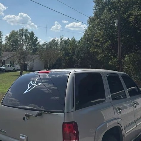 Duck Decal, photo 2